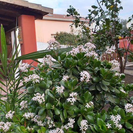 사사리 I Due Ciuchini Sardinia 아파트 외부 사진