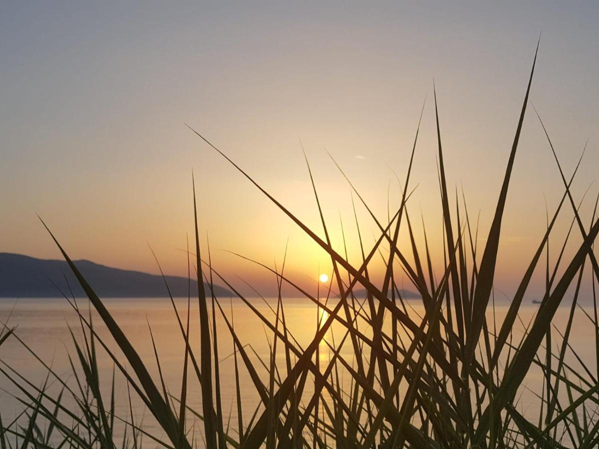 사사리 I Due Ciuchini Sardinia 아파트 외부 사진