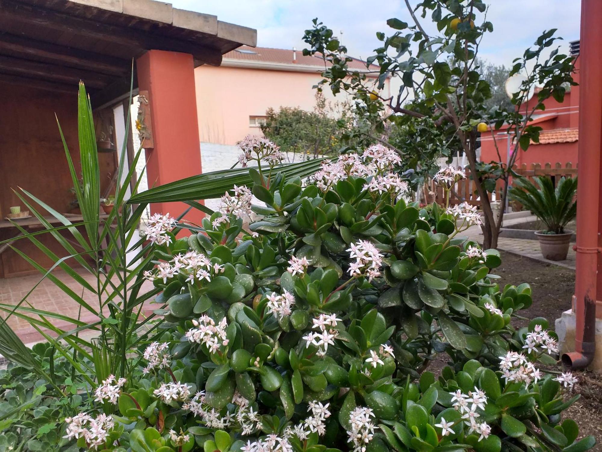 사사리 I Due Ciuchini Sardinia 아파트 외부 사진